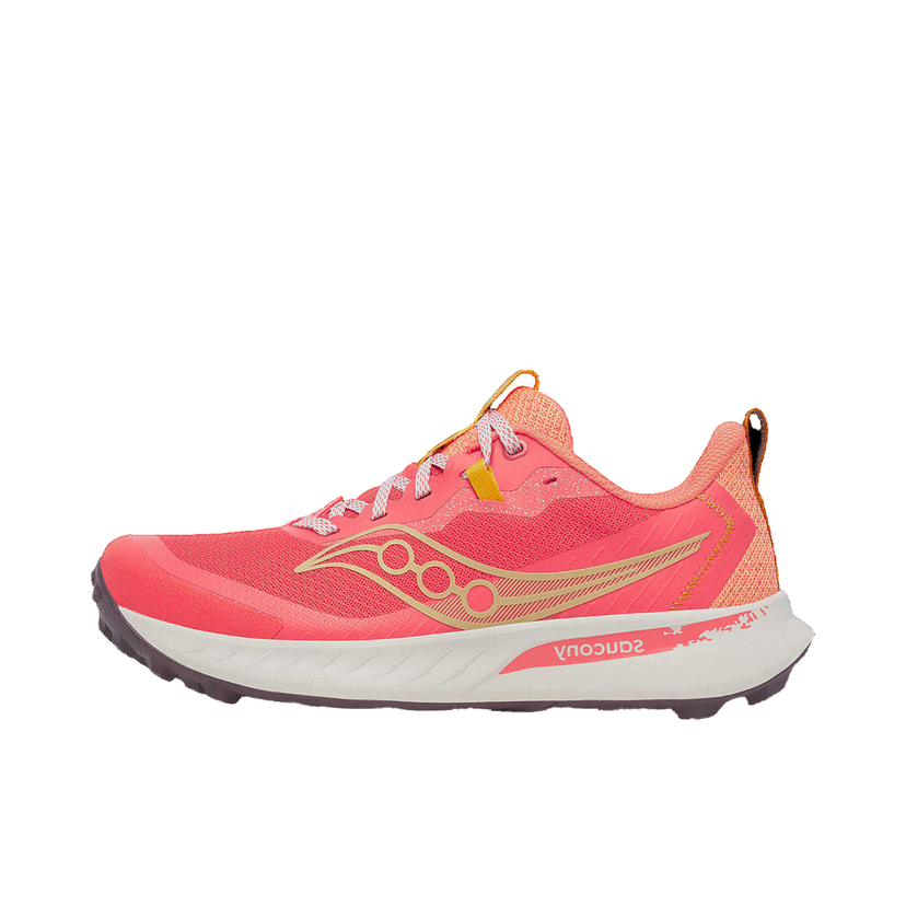 Кецове и обувки Saucony Peregrine 15 Розово | s10990-245
