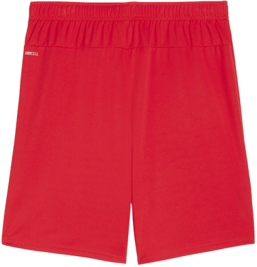 Къси панталони Puma teamGOAL Shorts Червено | 705752-01, 1