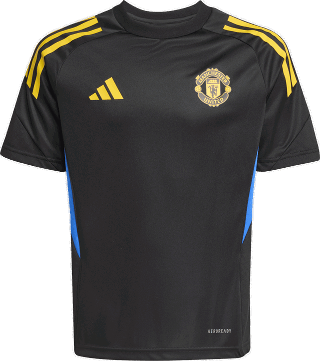 Manchester United Cup Training Jersey 2025/26