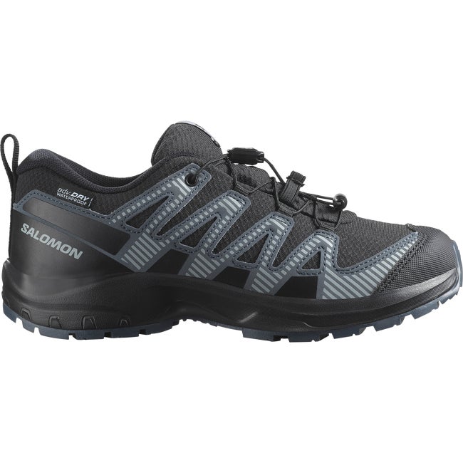 Кецове и обувки Salomon XA Pro V8 Waterproof Черно | L47729300, 1