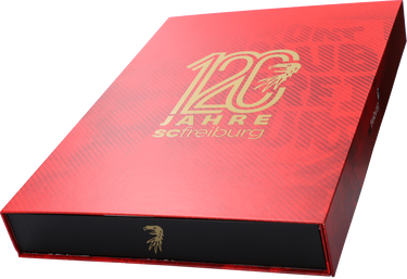 Фланелка Nike SC Freiburg 120 Year Anniversary Striped Jersey 2023/2024 Многоцветен | scf4cw3813-104, 3