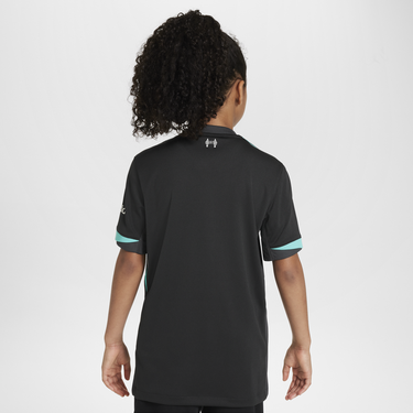 Фланелка Nike Liverpool FC Stadium 2024/25 Dri-FIT Replica Jersey Черно | FN9125-322, 3