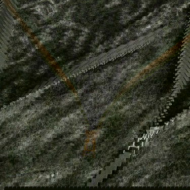 Яке бомбър Universal Works Snug Fuzzy Bomber Jacket Зелено | P33104ND, 6