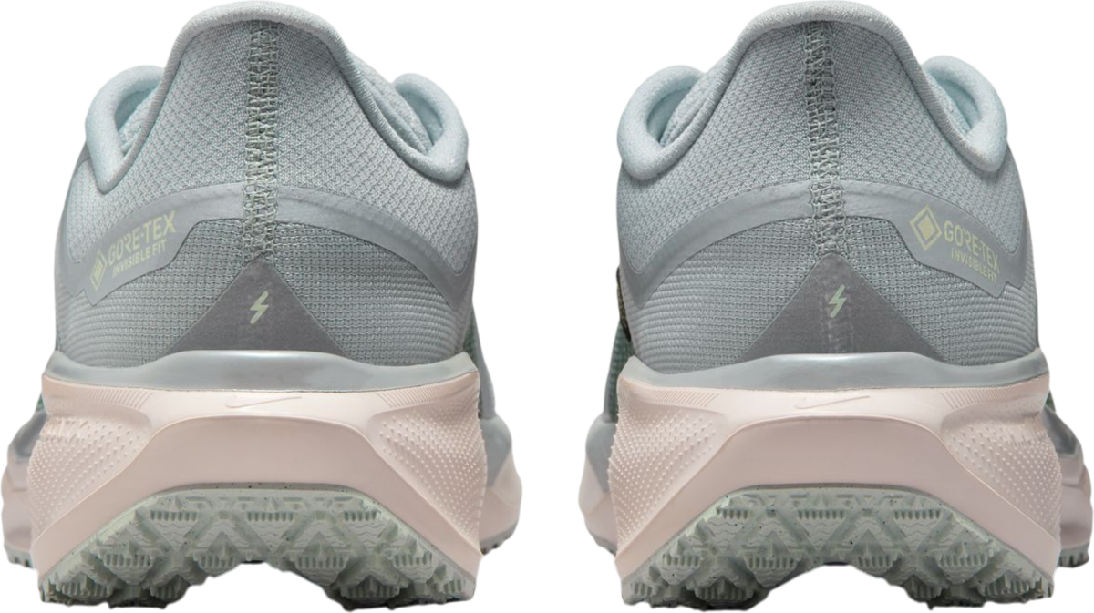 Кецове и обувки Nike Pegasus 41 GORE-TEX Многоцветен | fq1356-007, 1