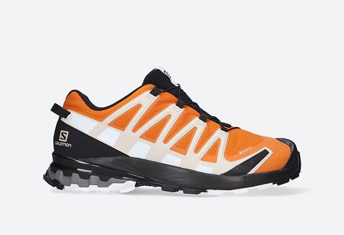 Кецове и обувки Salomon XA Pro 3D V8 GTX Оранжево
 | 415640, 0