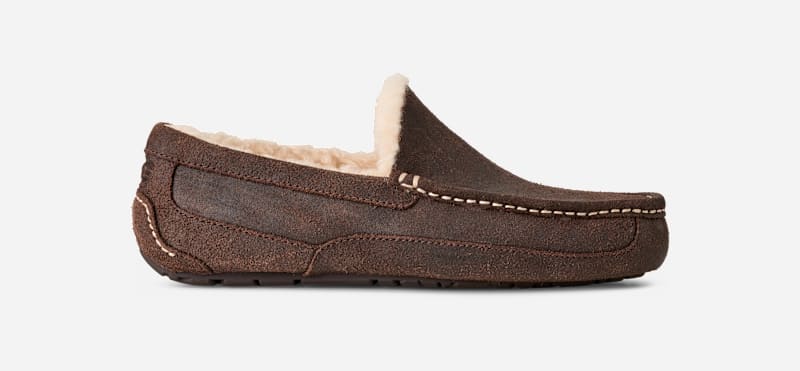 Кецове и обувки UGG UGG Ascot Distressed Slippers Кафяво | 1171296-DDC