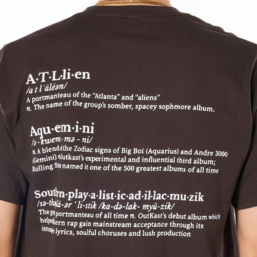 Тениска Pleasures Vocabulary Tee Кафяво | P22SP059-BROWN, 1
