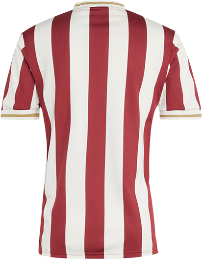 Фланелка adidas Originals 1. FC Nürnberg 125th Anniversary Special Jersey by adidas Originals Червено | 5fcnjg6350, 1