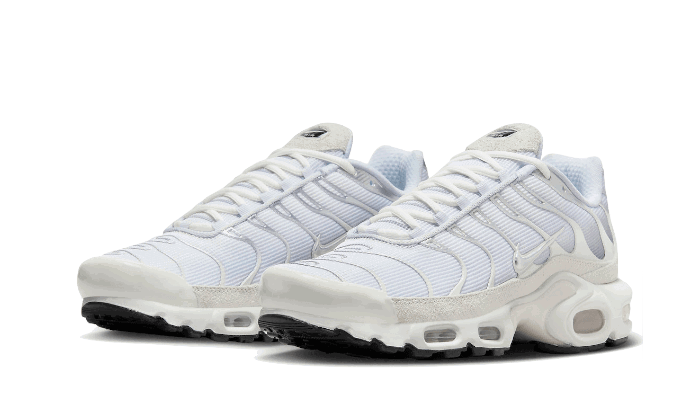 Кецове и обувки Nike Air Max Plus Sail "Pure Platinum" Сиво | FN7813-001, 1