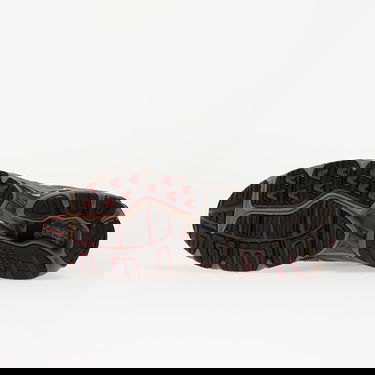 Кецове и обувки Mizuno Wave Rider 10 Кафяво | D1GA243112, 1