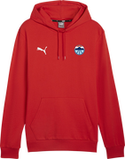 Basketball Austria Hoody