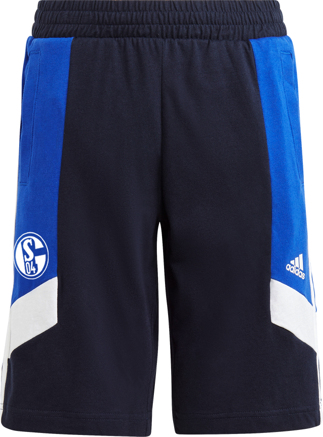 FC Schalke 04 Colorblock shorts