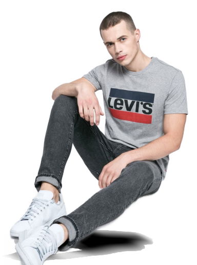 Тениска Levi's Mainline Graphic Tee Сиво | 39636.0002