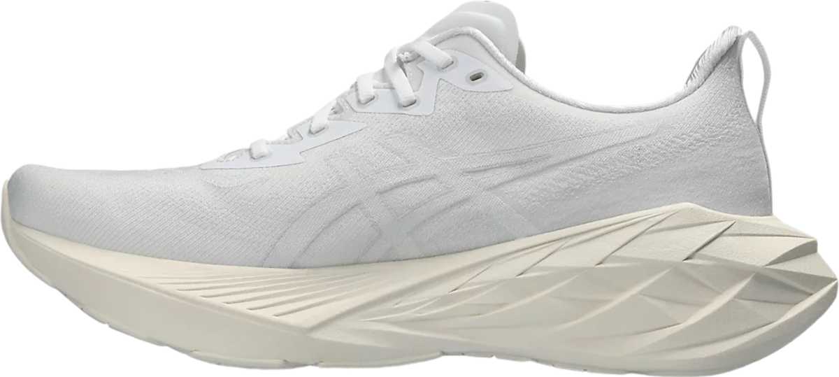 Кецове и обувки Asics NOVABLAST 4 Сиво | 1011b693-102, 1