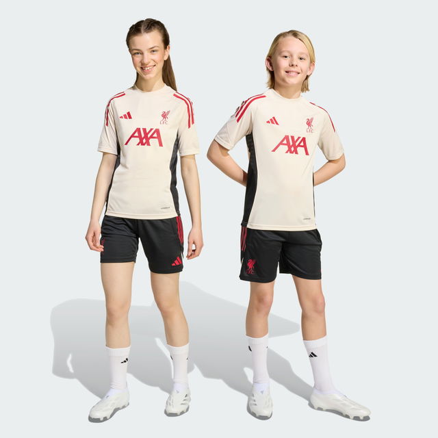 Training Competition Liverpool FC Tiro 25 Shorts