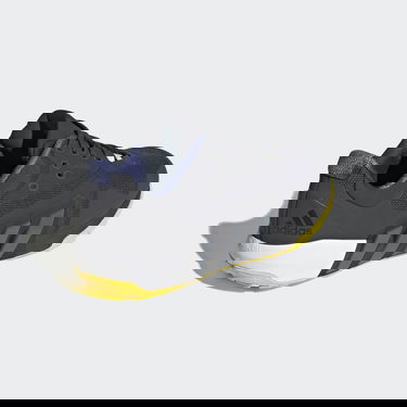 Кецове и обувки adidas Performance Dropset Черно | GW3903, 1