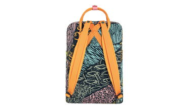 Раница FJÄLLRÄVEN Kånken Art Plus Backpack Многоцветен | F23634-966, 2