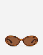 Dolce & Gabbana DG Crossed Animal Print Acetate Sunglasses