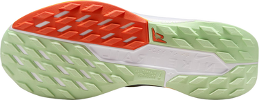 Кецове и обувки Nike Pegasus Trail 5 Многоцветен | dv3865-402, 2