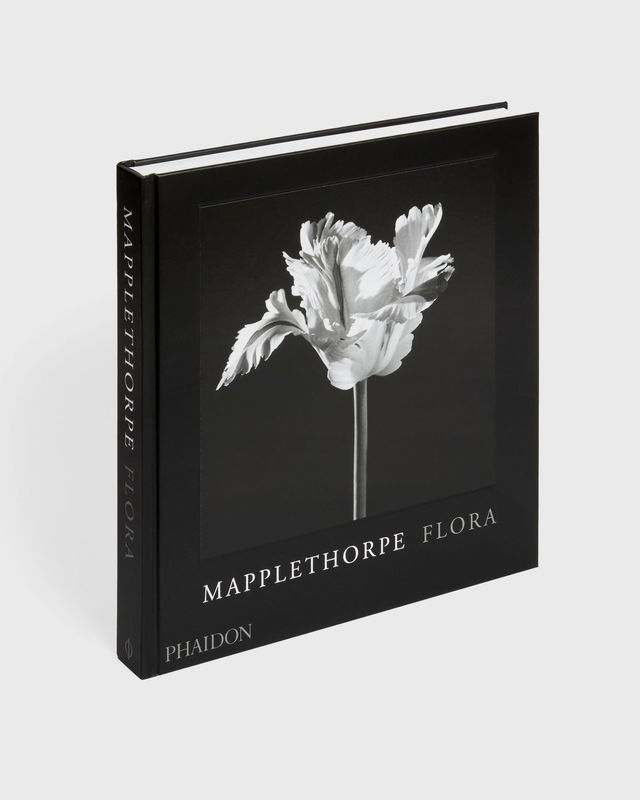 Robert Mapplethorpe