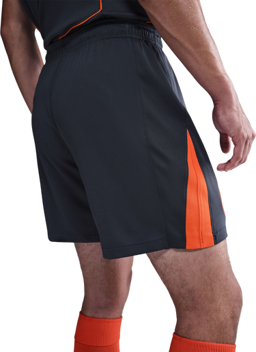 Къси панталони Nike Dri-FIT Inter Milan Stadium Third Shorts 2025/26 Сиво | hm3223-437, 3
