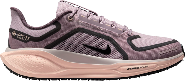 Pegasus 41 GORE-TEX