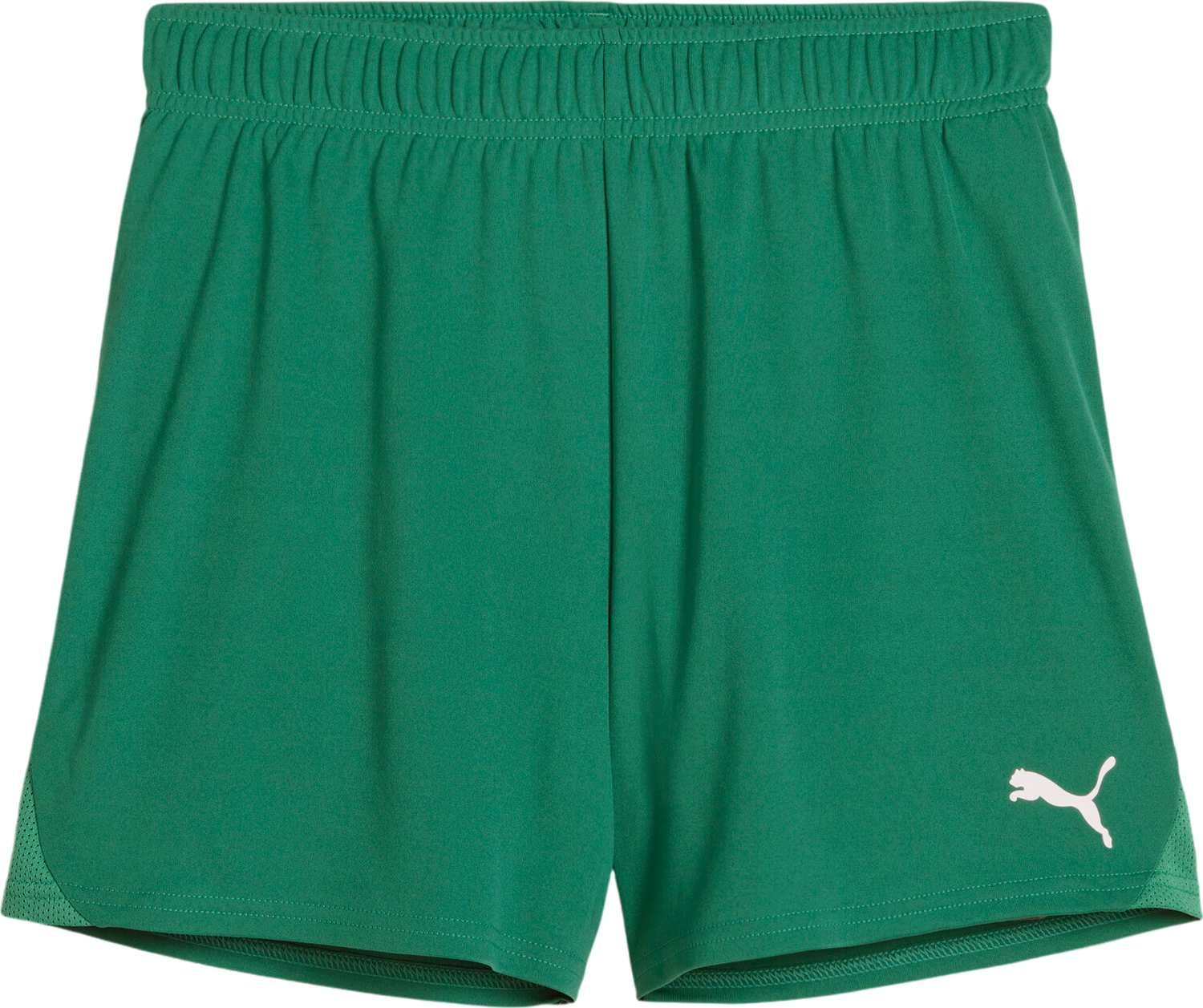 Къси панталони Puma Puma teamGOAL Handball Shorts Зелено | 706019-05, 0