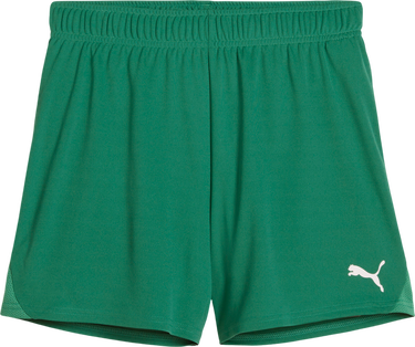 Къси панталони Puma Puma teamGOAL Handball Shorts Зелено | 706019-05, 0