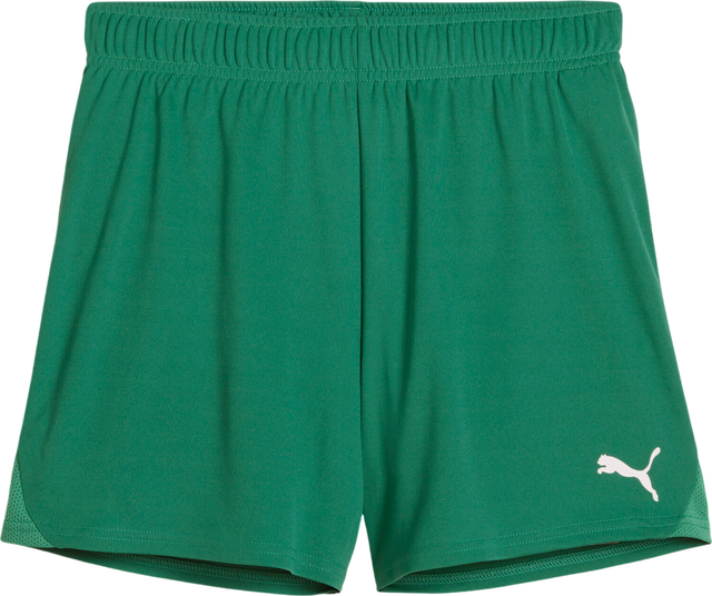 Puma teamGOAL Handball Shorts