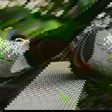 Кецове и обувки Keen Jasper Zionic Зелено | 10058534KEN01, 6