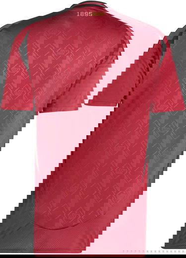 Фланелка adidas Originals RBFA H JSY 2024 Бургунди | iq0769, 2