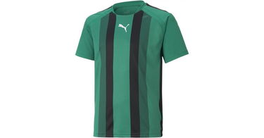 Фланелка Puma Puma teamLIGA Striped Jersey Зелено | 704927-005, 1