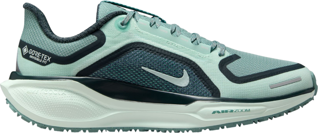 Pegasus 41 GORE-TEX