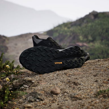 Terrex Trailmaker 2.0 Mid Gore-Tex, 3