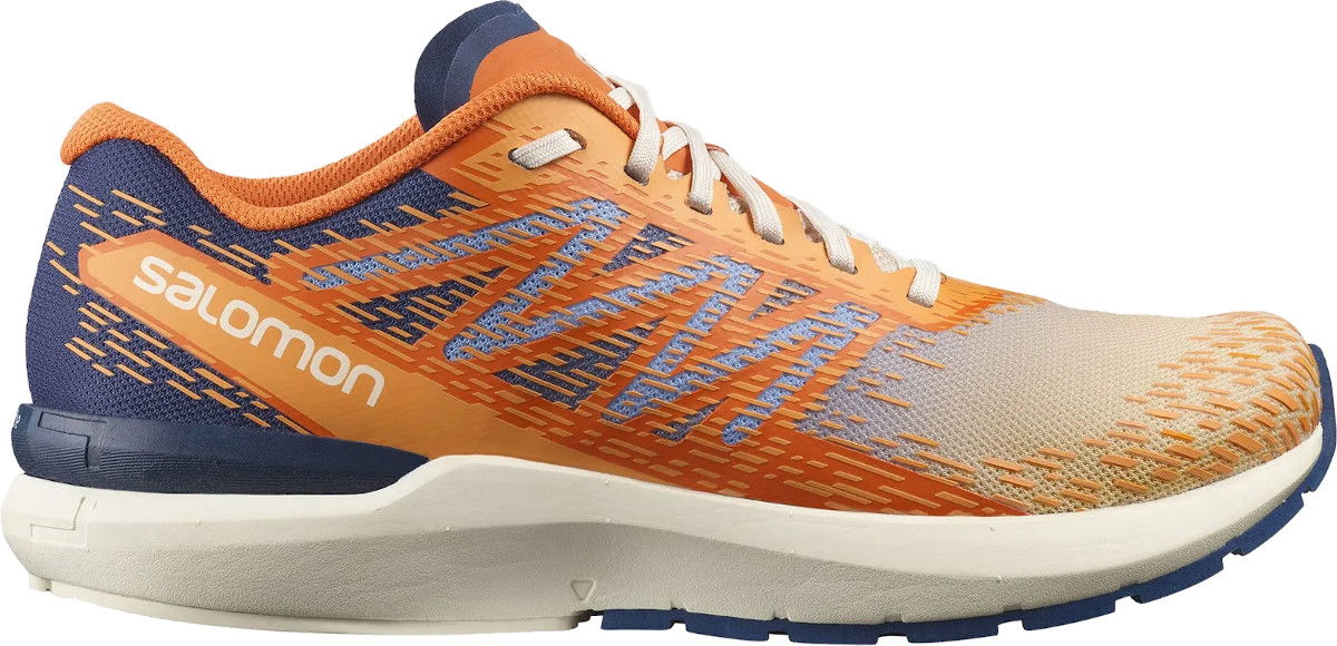 Кецове и обувки Salomon Salomon Sonic 5 Balance Оранжево
 | l41710200, 0
