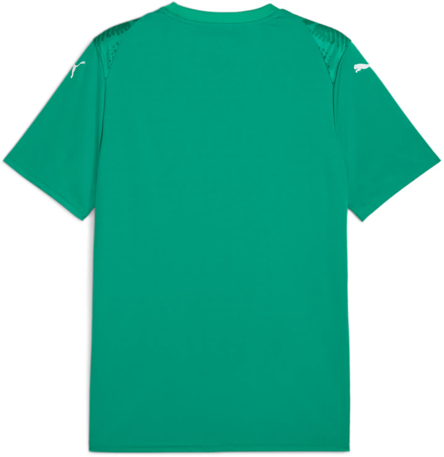 Фланелка Puma Puma teamULTIMATE Jersey Зелено | 706280-05, 1
