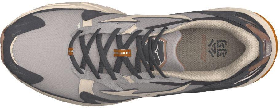Кецове и обувки Mizuno Wave Rider 10 Сиво | D1GA226601, 1