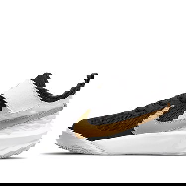 Кецове и обувки Nike Nike Team Hustle D10 Черно | CW6736-002, 0