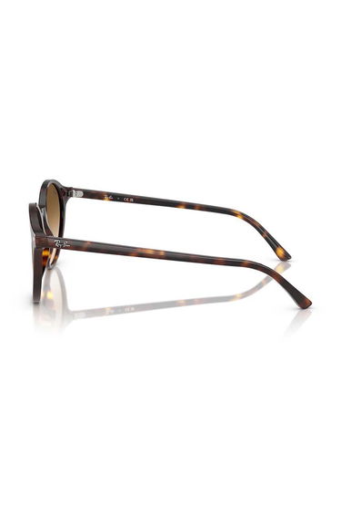 Слънчеви очила Ray-Ban Ray-Ban Round Sunglasses RB2230 Кафяво | 0RB2230, 2