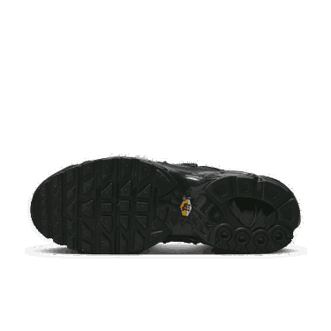 Кецове и обувки Nike Air Max Plus Черно | FD0670-001, 1