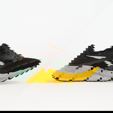 Кецове и обувки Reebok Floatzig 2 Многоцветен | 100225501, 2