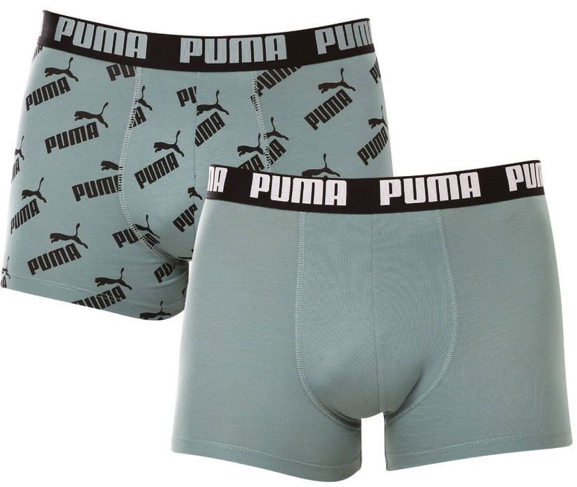 Боксерки Puma AOP Boxer 2p Зелено | 100001512-012