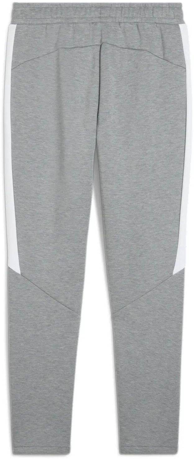 Спортни панталони Puma Puma teamEVOSTRIPE Pants Сиво | 659948-33, 1