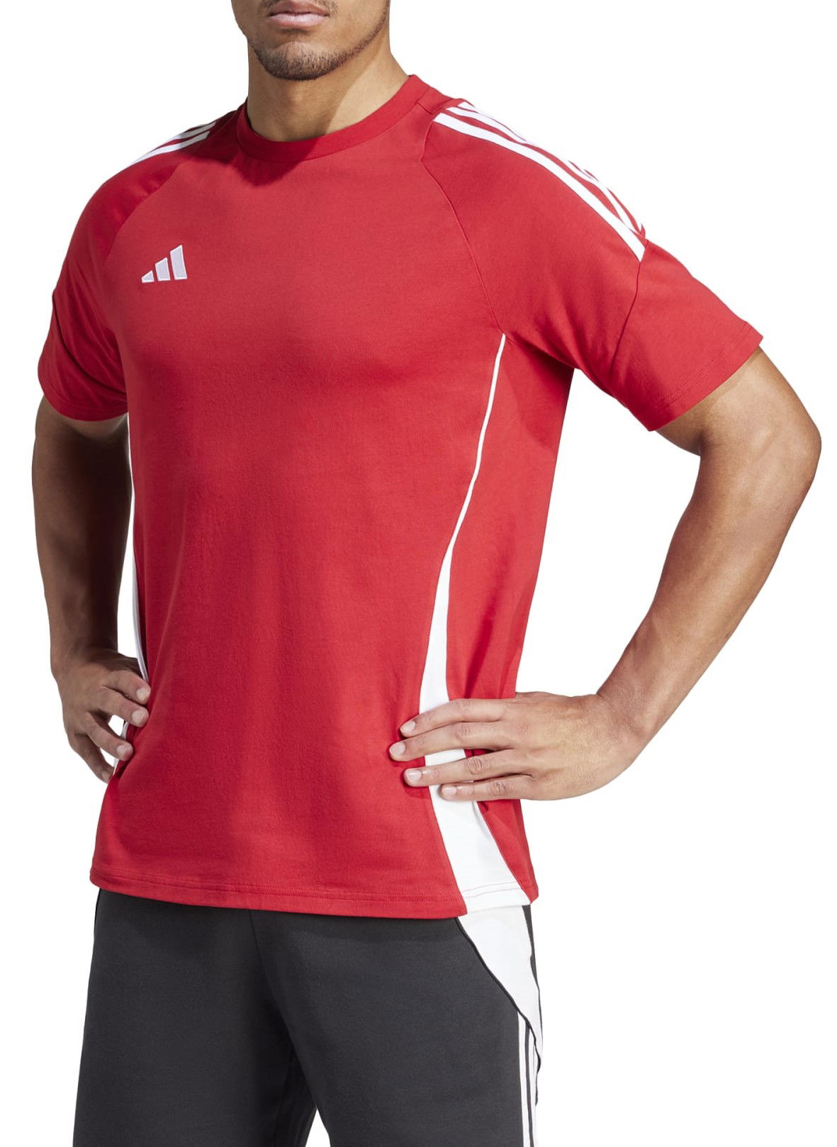 Тениска adidas Originals adidas TIRO24 SWTEE Червено | ir9349, 0