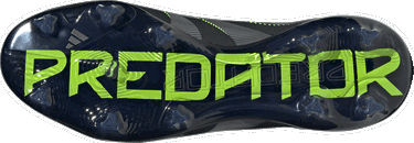 Кецове и обувки adidas Performance adidas PREDATOR PRO FG Черно | JI1197, 1