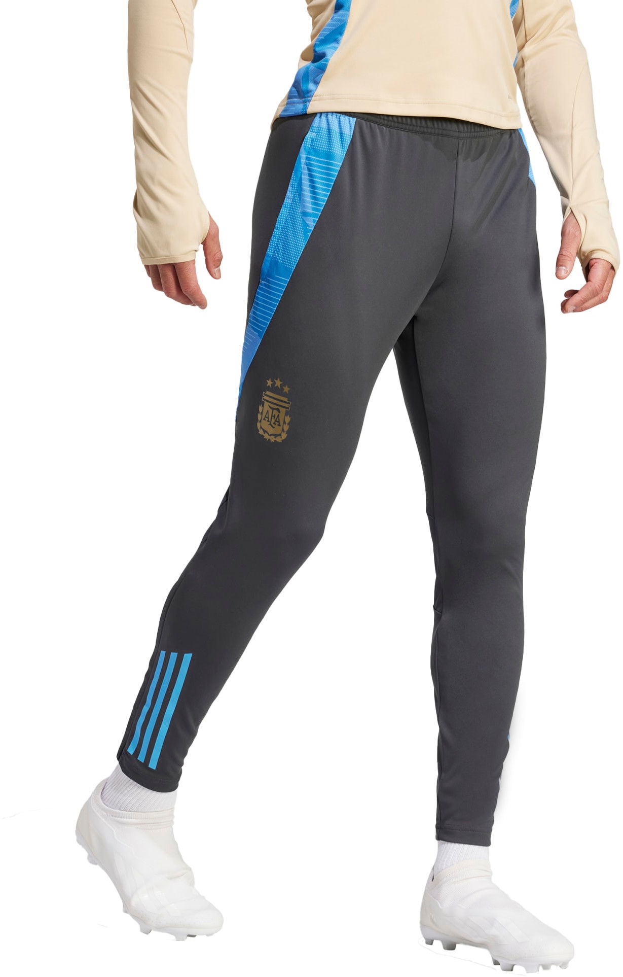 Панталони adidas Originals AFA TR PNT 2024 Сиво | iq0824, 0