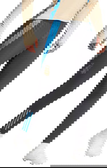 Панталони adidas Originals AFA TR PNT 2024 Сиво | iq0824, 0