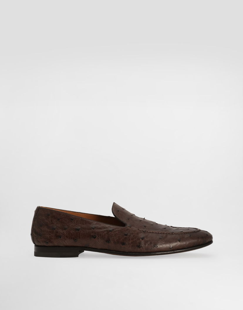 Аксесоари Dolce & Gabbana Dolce & Gabbana Ostrich Leather Loafers Кафяво | A50716AE43680178