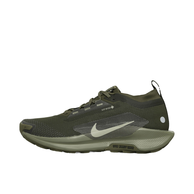 Pegasus Trail 5 GORE-TEX