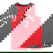 Toronto Raptors Icon Edition Swingman Jersey Leonard